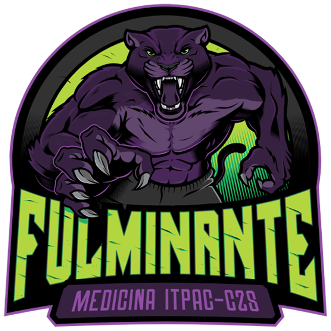 Associação Acadêmica Atlética Fulminante